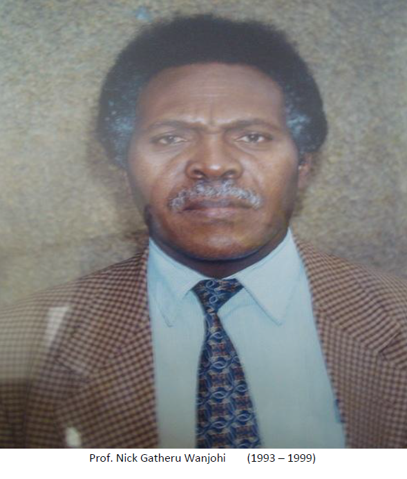 Prof. Nick Gatheru Wanjohi (1993 - 1999)